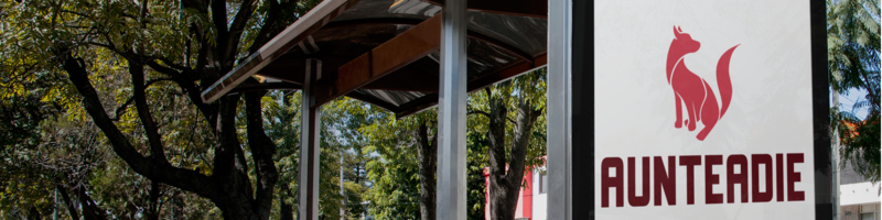 aunteadie